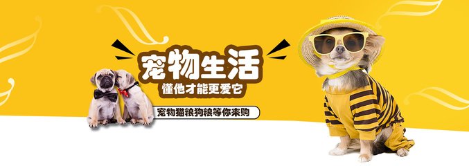 新奥出号综合走势图